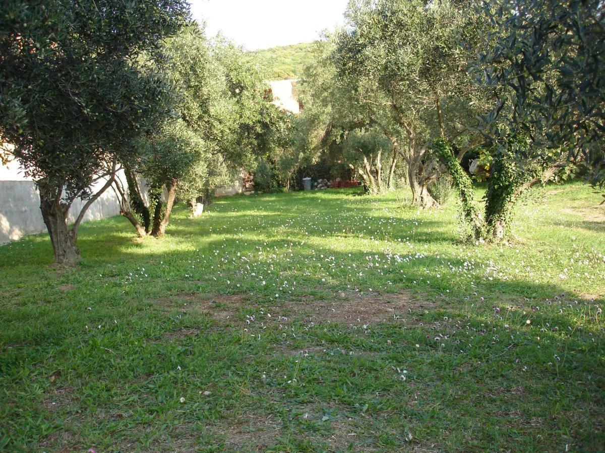 Apartmani Zoric Punat Exteriör bild